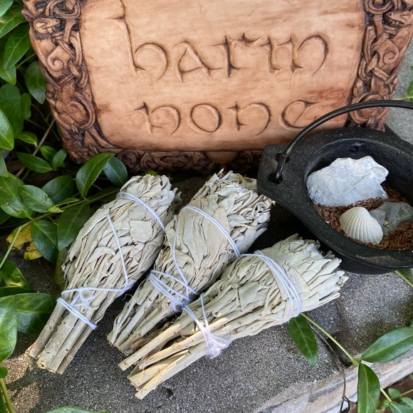 California White Sage Smudge TORCHES (3) FIRM - Picture 6 of 7